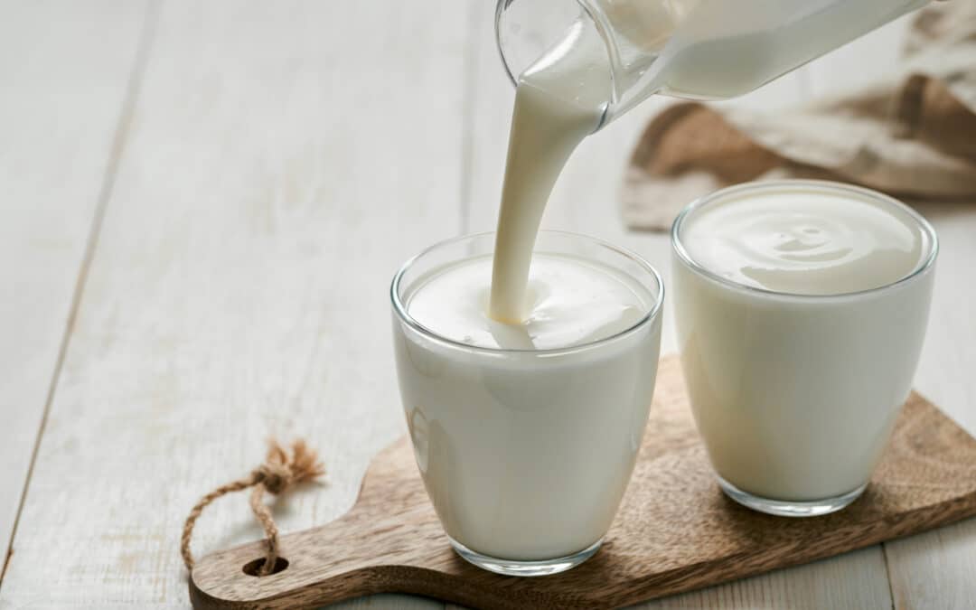 Quale latte preferisce il tuo intestino?